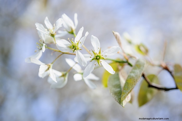 February Planting Guide: Extend Your Growing Season