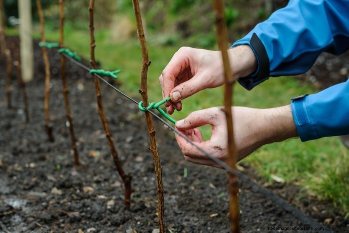 January Planting Guide: Start Seeds Indoors for a Bountiful Harvest