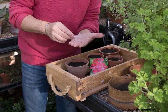 January Planting Guide: Start Seeds Indoors for a Bountiful Harvest