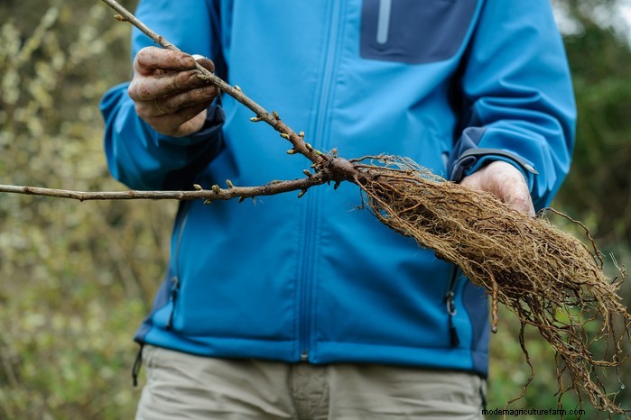 January Planting Guide: Start Seeds Indoors for a Bountiful Harvest