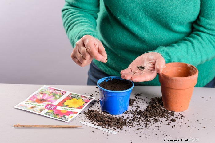 January Planting Guide: Start Seeds Indoors for a Bountiful Harvest