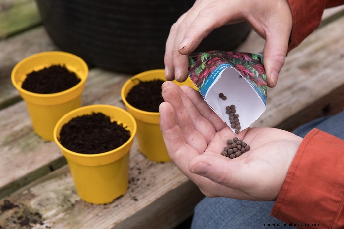 January Planting Guide: Start Seeds Indoors for a Bountiful Harvest