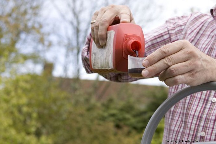 Optimal Fertilizing for Potted Plants: A Comprehensive Guide