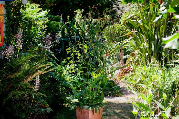 Beautiful Summer Container Gardening Ideas | [Your Brand Name]