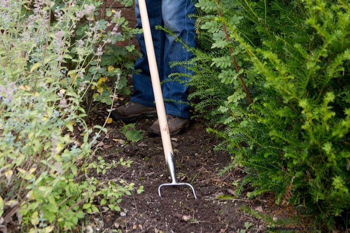 Summer Garden Prep: 6 Essential Border Care Tips