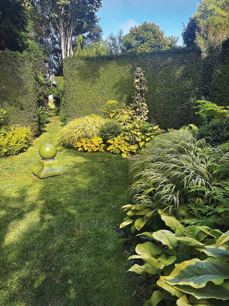 Hedge Gardening: A Comprehensive Guide to Planting & Maintenance