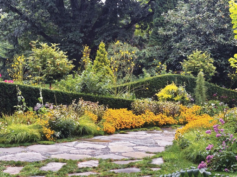 Hedge Gardening: A Comprehensive Guide to Planting & Maintenance