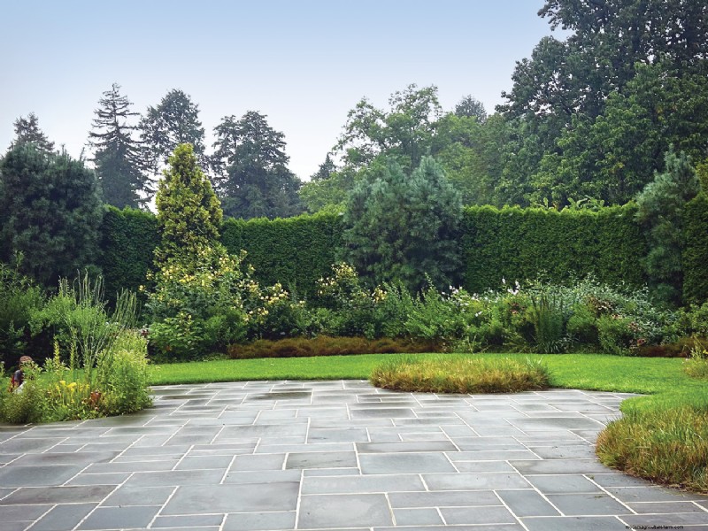 Hedge Gardening: A Comprehensive Guide to Planting & Maintenance