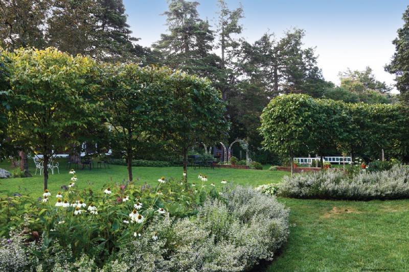 Hedge Gardening: A Comprehensive Guide to Planting & Maintenance