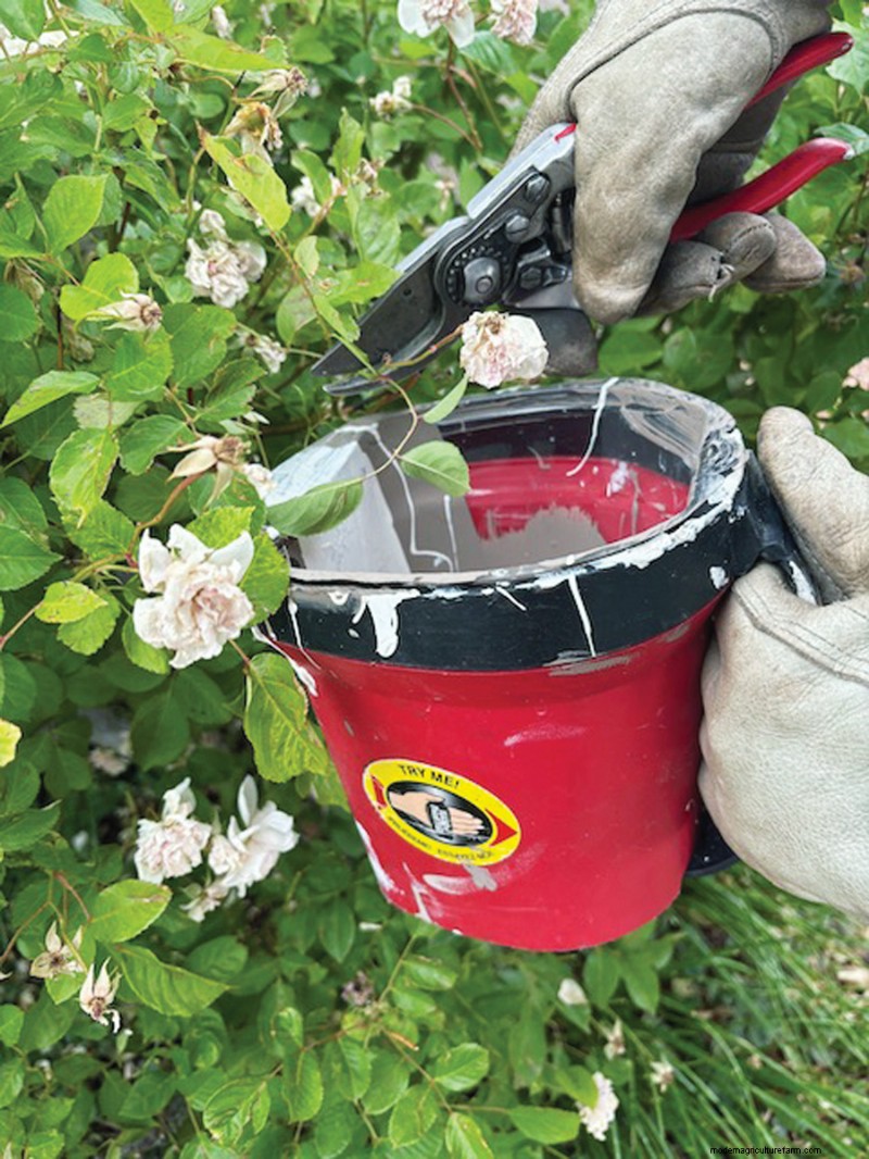 Gardening Hacks & Storage Solutions: Reader-Approved Tips