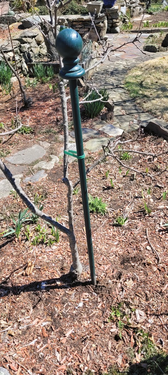 Gardening Hacks & Storage Solutions: Reader-Approved Tips