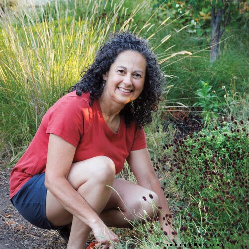 Easy-Care Plants for [Your Region]: Thriving Gardens with Minimal Effort