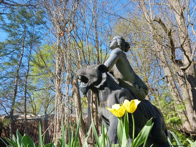Spring Blooms in New York: Lee s Colorful Garden Update