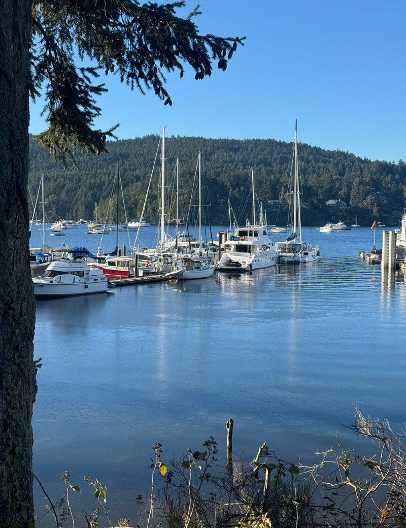Transforming Gardens Together: A Mother-Daughter Gardening Project in British Columbia
