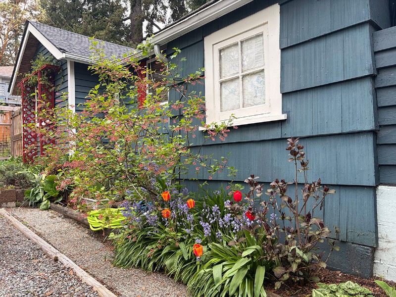 Transforming Gardens Together: A Mother-Daughter Gardening Project in British Columbia
