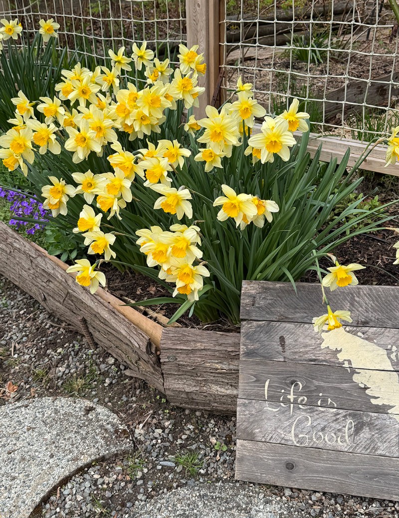 Transforming Gardens Together: A Mother-Daughter Gardening Project in British Columbia