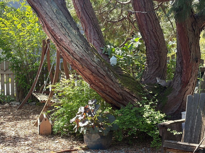 Transforming Gardens Together: A Mother-Daughter Gardening Project in British Columbia