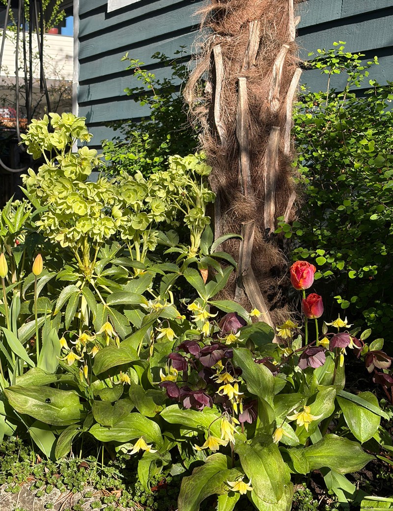 Transforming Gardens Together: A Mother-Daughter Gardening Project in British Columbia