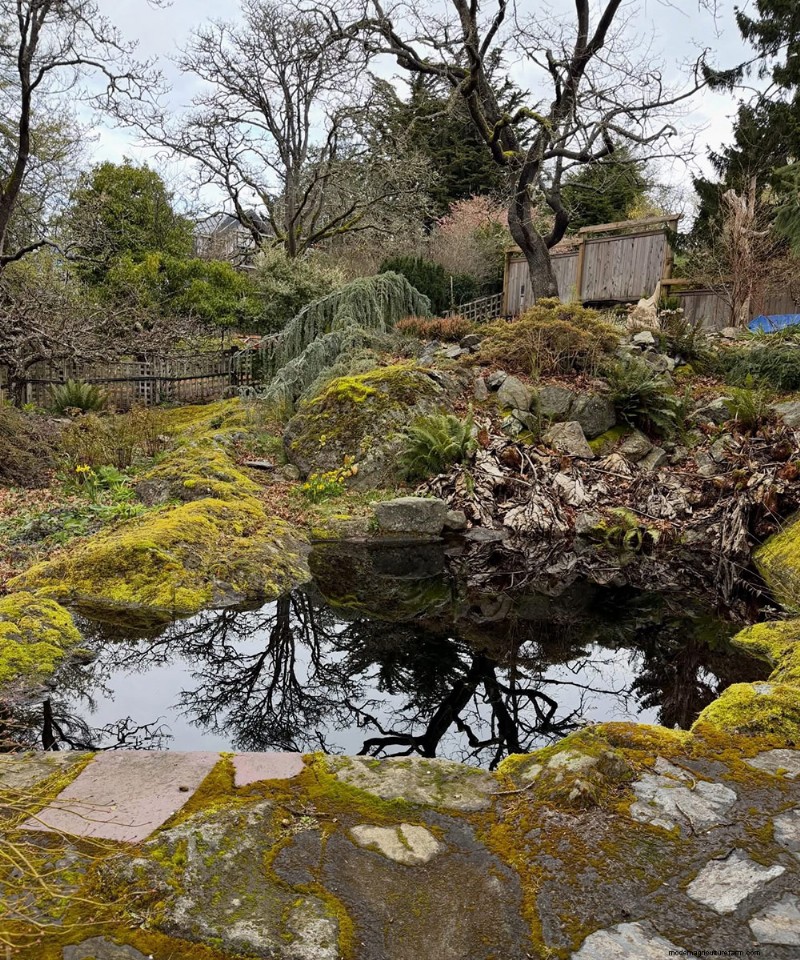 Abkhazi Garden: A Hidden Victorian Gem in Victoria, BC