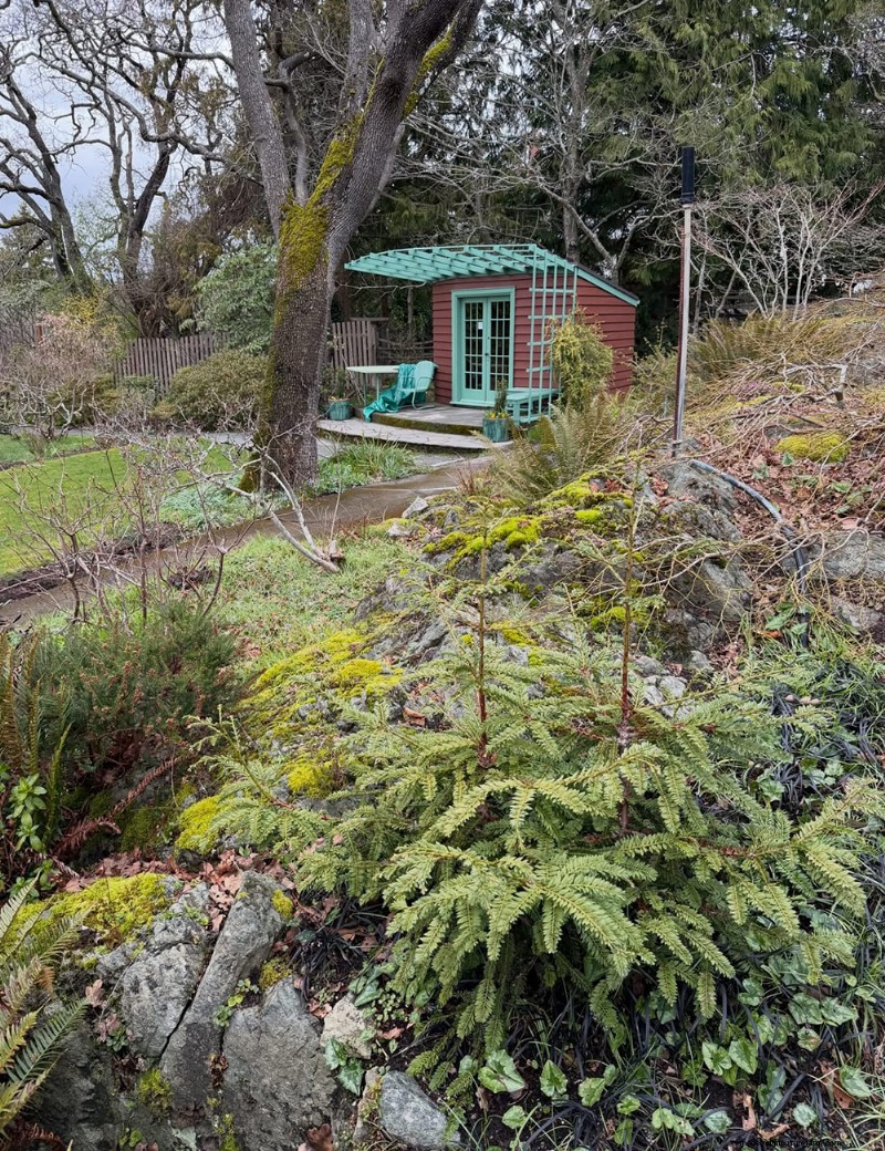 Abkhazi Garden: A Hidden Victorian Gem in Victoria, BC