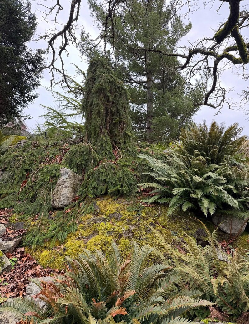 Abkhazi Garden: A Hidden Victorian Gem in Victoria, BC