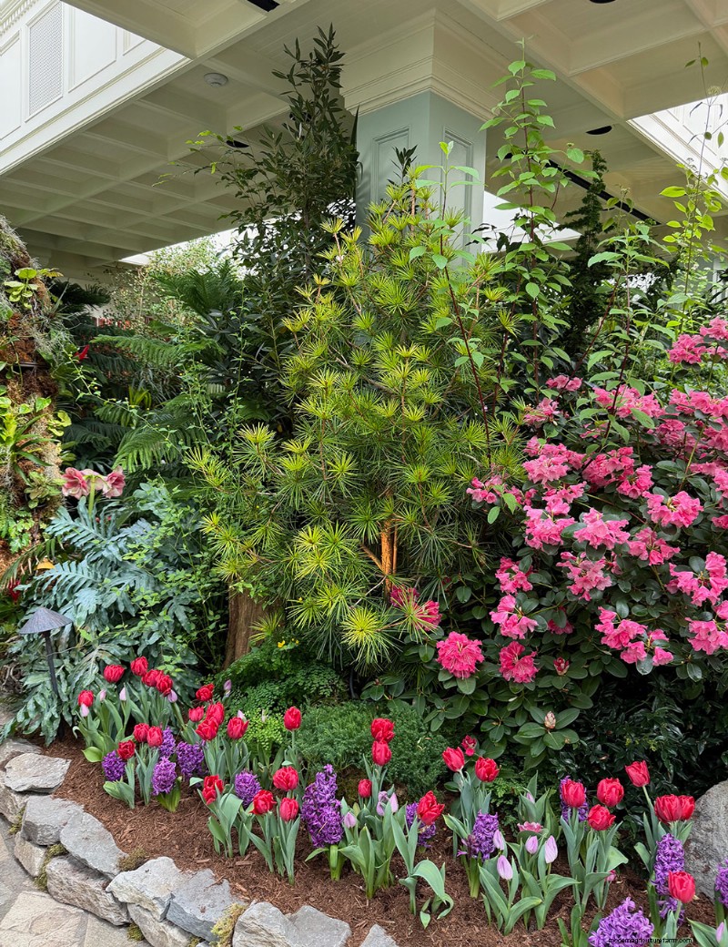 Butchart Gardens Spring Prelude: A Final Look (Part 2)