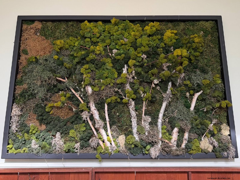 Butchart Gardens Spring Prelude: A Final Look (Part 2)