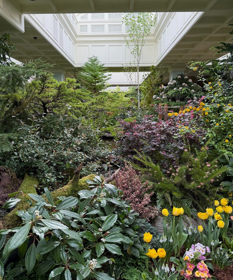 Butchart Gardens Spring Prelude: A Final Look (Part 2)