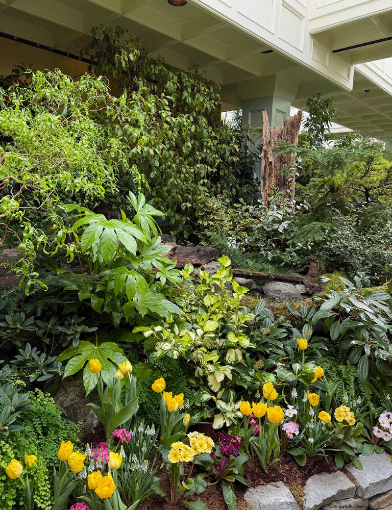 Butchart Gardens Spring Prelude: A Final Look (Part 2)