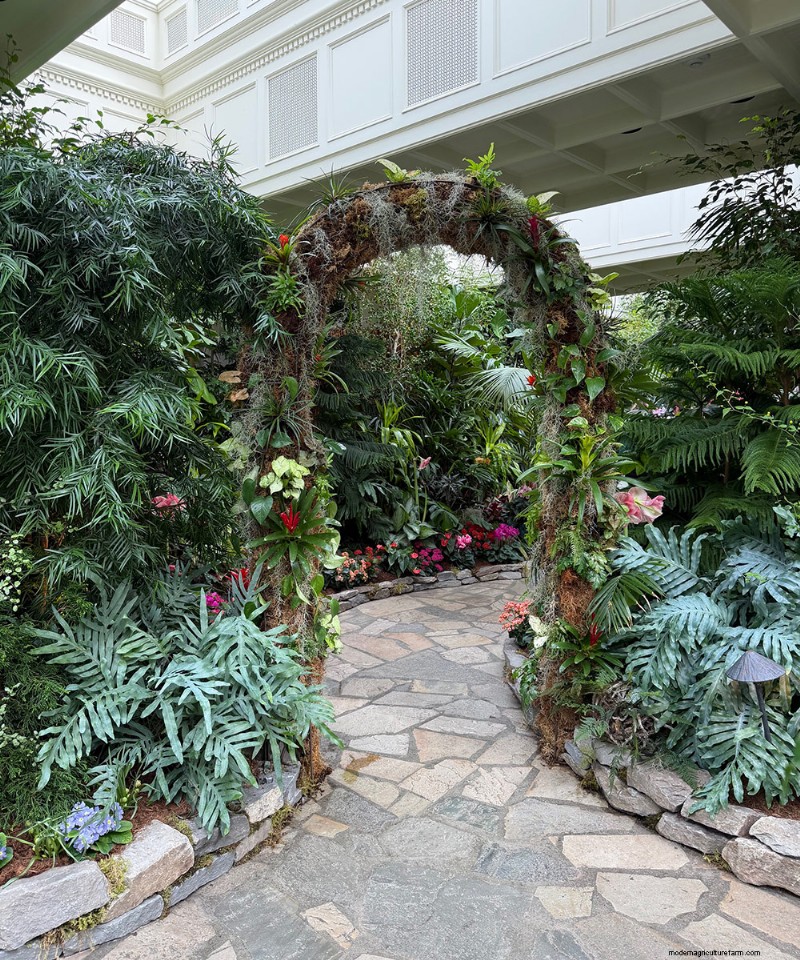 Butchart Gardens Spring Prelude: A Final Look (Part 2)