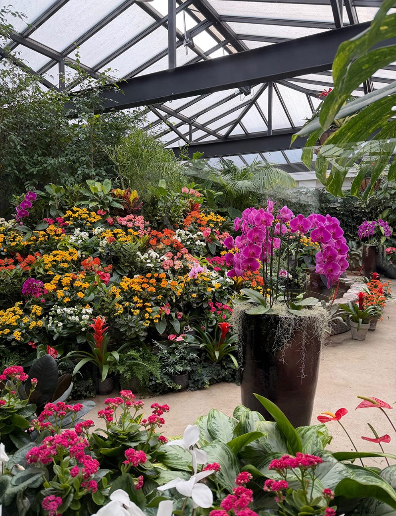 Butchart Gardens Spring Prelude: A Stunning Preview of Spring Blooms