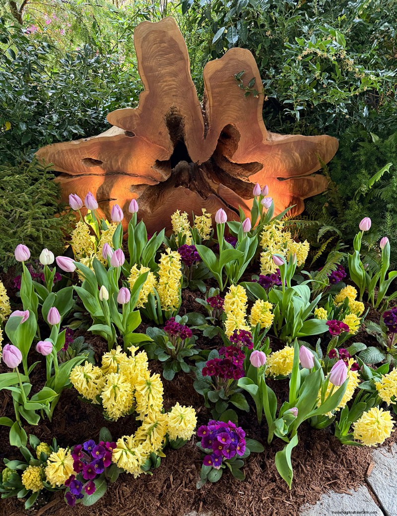 Butchart Gardens Spring Prelude: A Stunning Preview of Spring Blooms