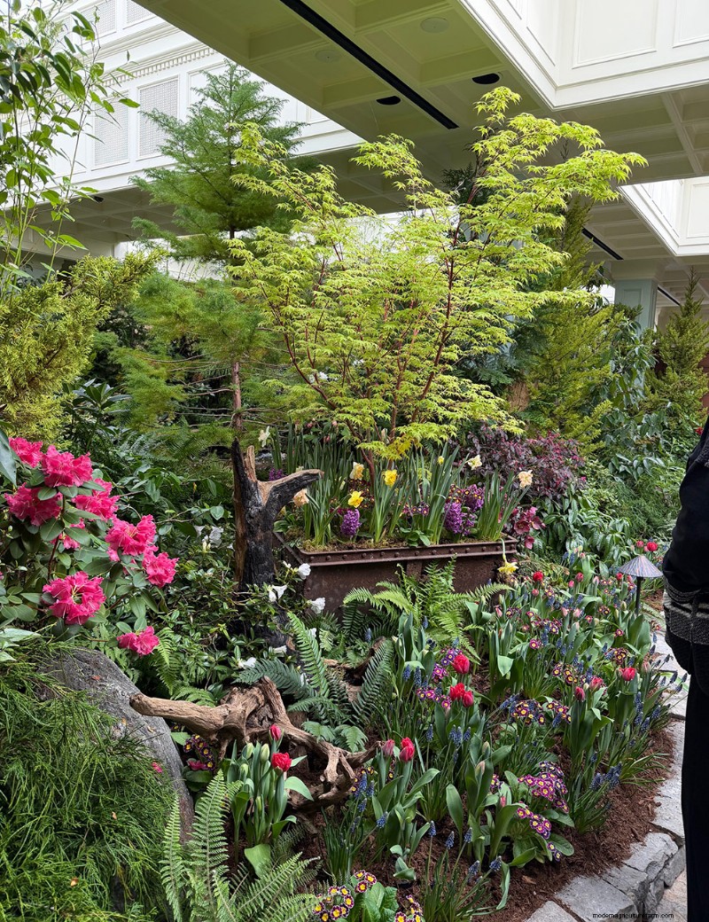 Butchart Gardens Spring Prelude: A Stunning Preview of Spring Blooms