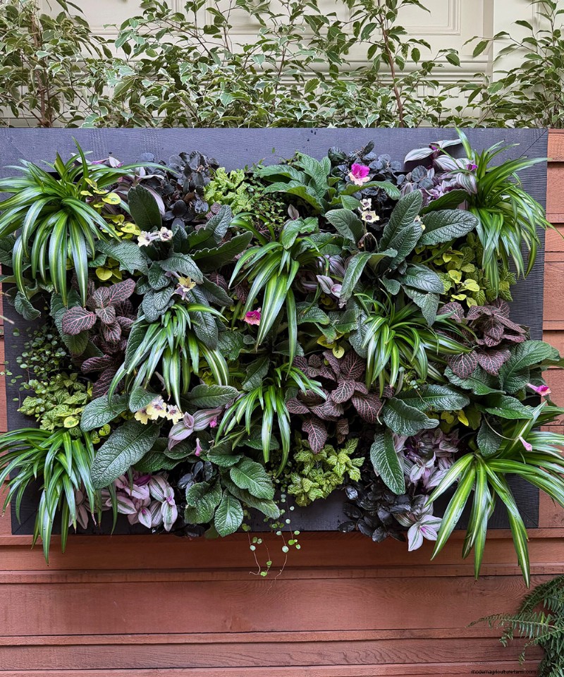 Butchart Gardens Spring Prelude: A Stunning Preview of Spring Blooms