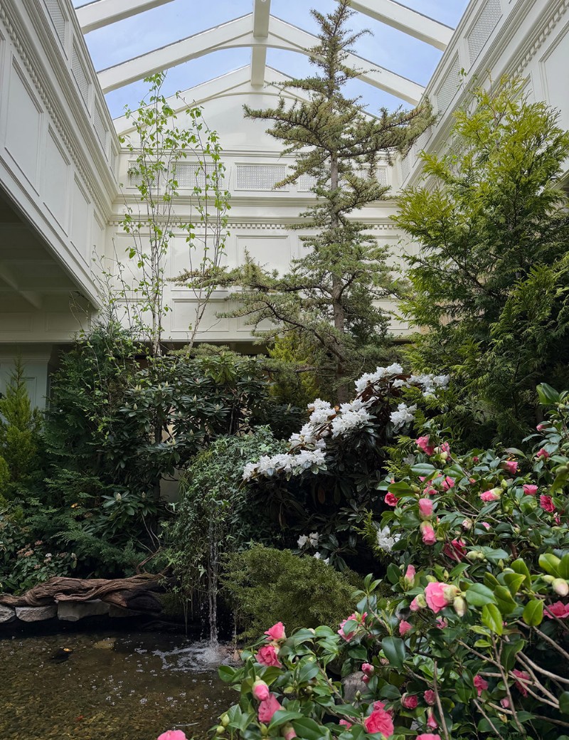 Butchart Gardens Spring Prelude: A Stunning Preview of Spring Blooms