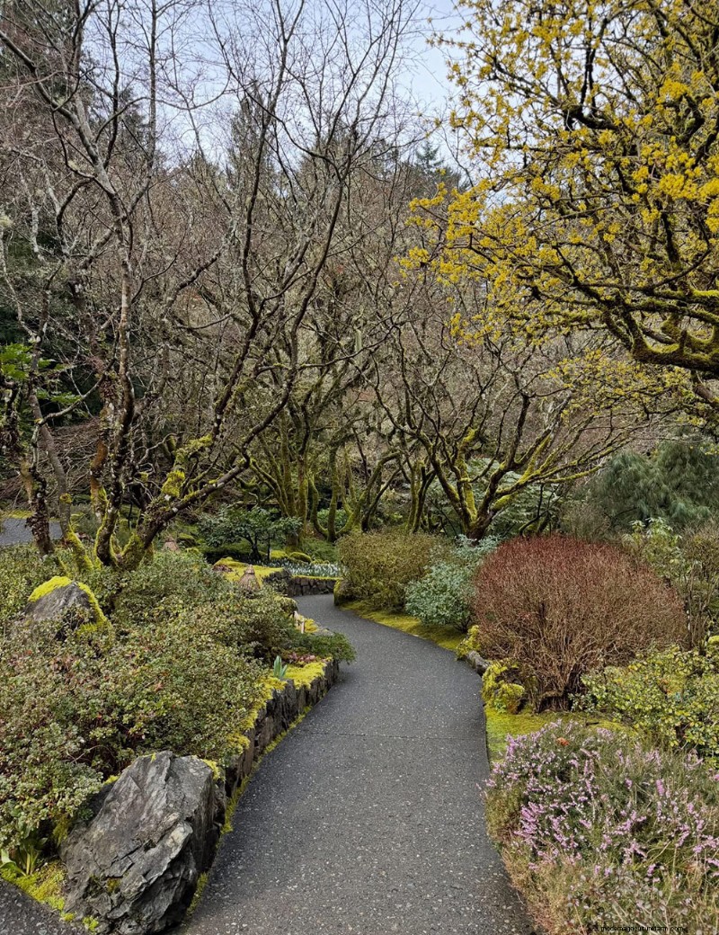 Exploring the Tranquil Japanese Garden at Butchart Gardens