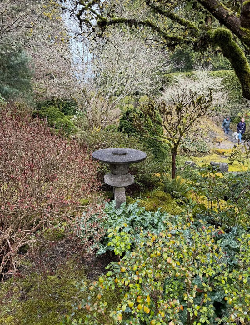 Exploring the Tranquil Japanese Garden at Butchart Gardens