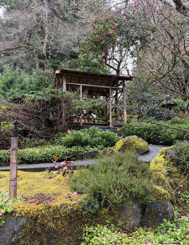 Exploring the Tranquil Japanese Garden at Butchart Gardens