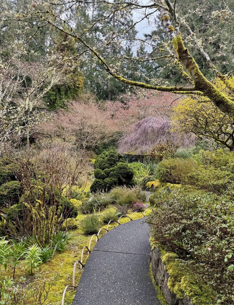 Exploring the Tranquil Japanese Garden at Butchart Gardens