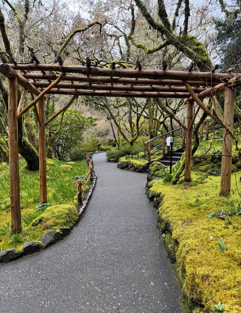 Exploring the Tranquil Japanese Garden at Butchart Gardens