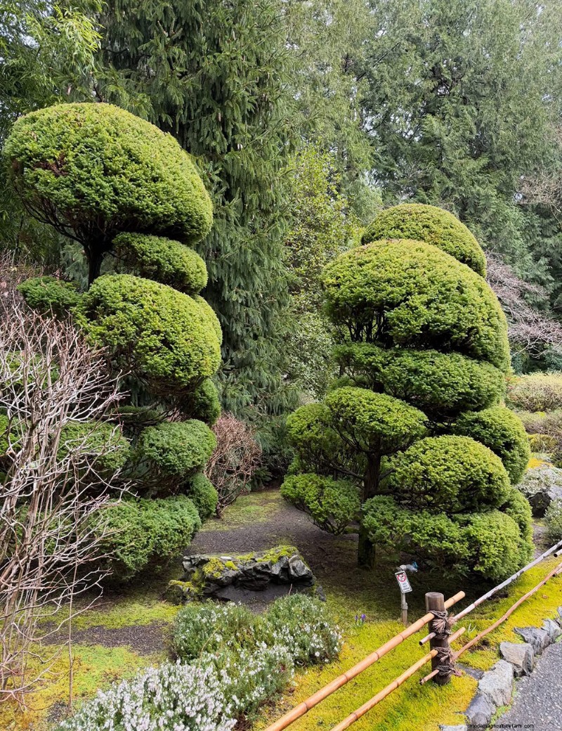 Exploring the Tranquil Japanese Garden at Butchart Gardens