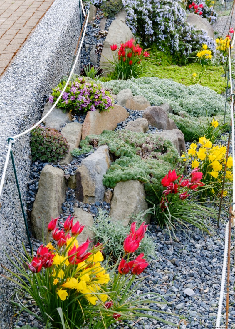 Coastal Crevice Garden Oasis: Cacti, Succulents & More in Comox, BC