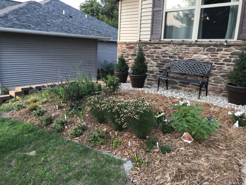 Iowa Garden Transformation: Seasonal Beauty in Zone 5b