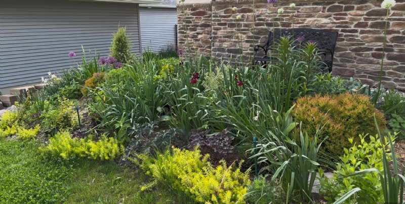 Iowa Garden Transformation: Seasonal Beauty in Zone 5b