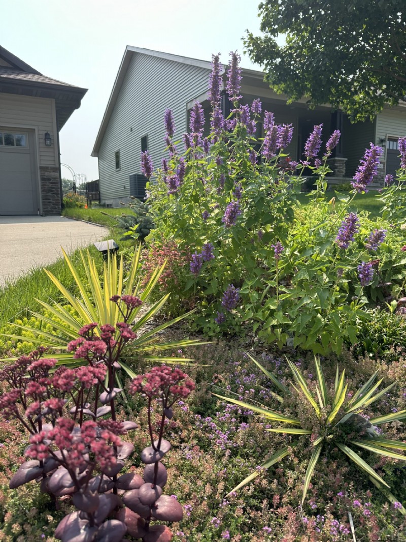 Iowa Garden Transformation: Seasonal Beauty in Zone 5b