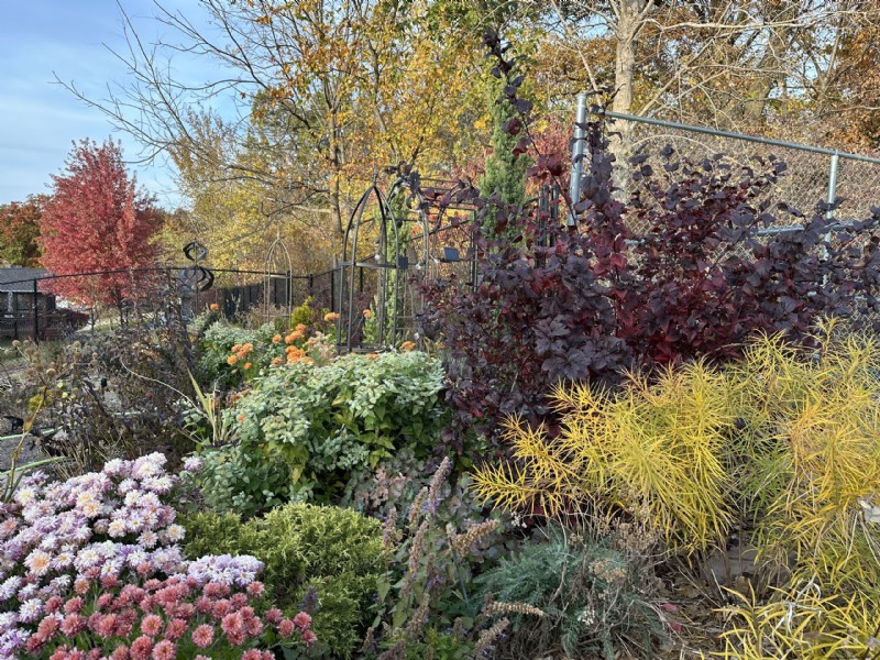 Iowa Garden Transformation: Seasonal Beauty in Zone 5b