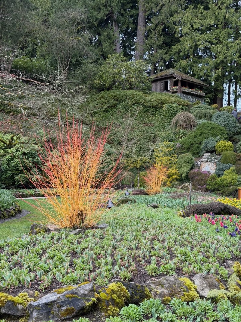 Butchart Gardens in Early Spring: A Lesson in Garden Structure
