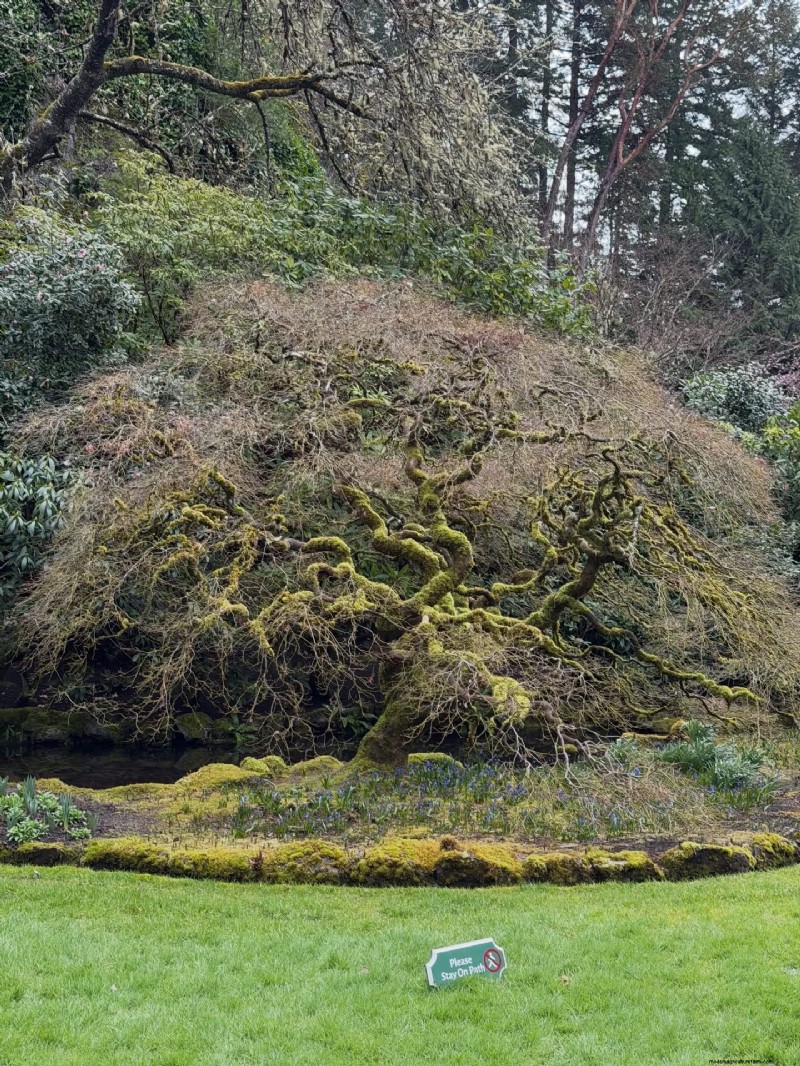 Butchart Gardens in Early Spring: A Lesson in Garden Structure
