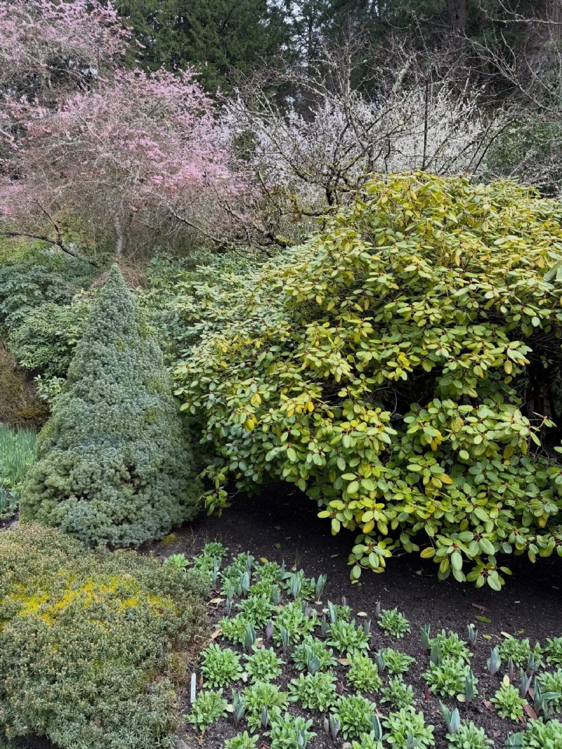 Butchart Gardens in Early Spring: A Lesson in Garden Structure
