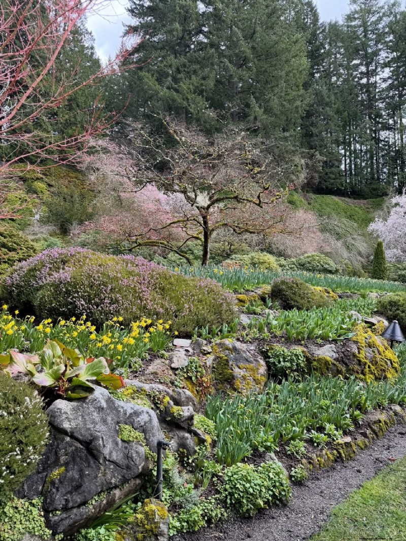 Butchart Gardens in Early Spring: A Lesson in Garden Structure